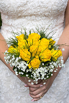 新娘,拿着,新娘手花,黄色,玫瑰,意大利,欧洲