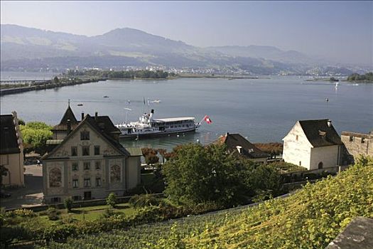 城堡,山,湖,苏黎世,岛,旅游,船,港口,瑞士