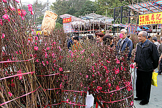 春节,花市,铜锣湾,香港