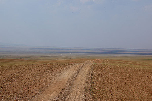 蒙古南省草原