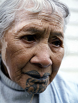 老人,毛利人,女人,幸存者,脸,纹身
