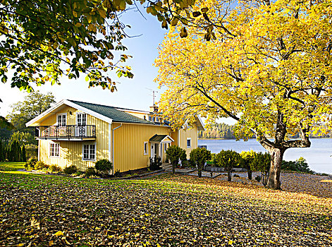 黄色,房子,水,瑞典