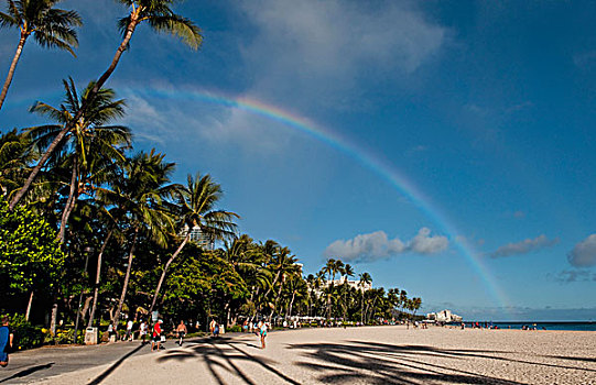 彩虹,手掌,影子,威基基海滩,靠近,夏威夷,乡村,檀香山,瓦胡岛