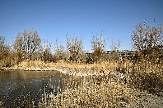 河北建投石家庄,藁城,现代农业观光园