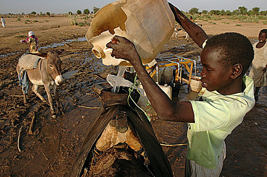 破损,男孩,水,动物皮,装载,驴,露营,人,达尔富尔,苏丹,十一月,2004年