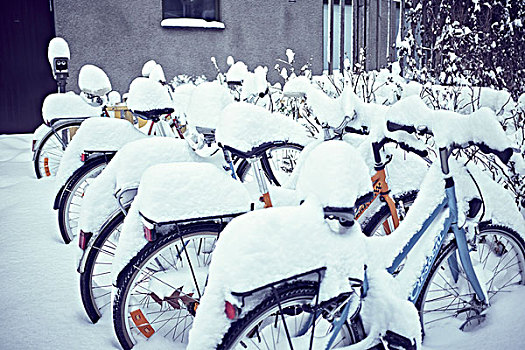 雪,遮盖,自行车