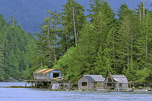 房子,河岸,环太平洋国家公园,自然保护区,温哥华岛,不列颠哥伦比亚省,加拿大