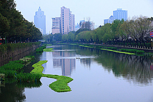 南塘河,水,内河,高楼,绿化