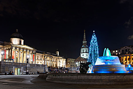 圣诞树,特拉法尔加广场,伦敦