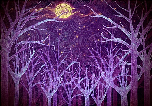 紫色,树林,满月