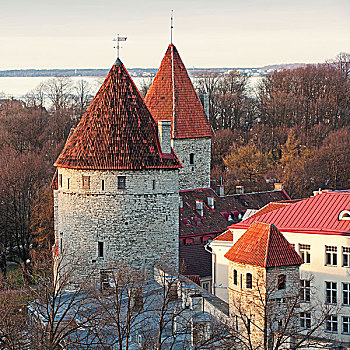 塔,红色,屋顶,老,要塞,塔林,爱沙尼亚