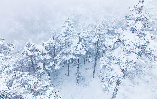 西岭雪山大雪的美丽风景