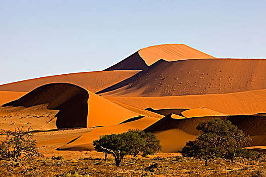 沙丘,纳米布沙漠,公园,纳米比亚
