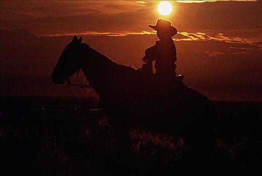 剪影,一个人,骑,马背,日落