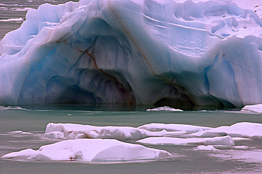 特写,冰山,艾伯塔省,加拿大