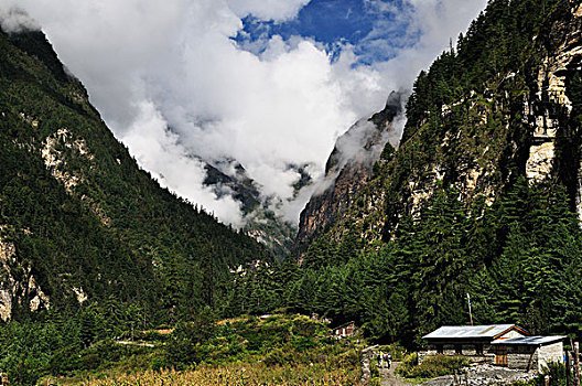 河谷,安娜普纳,保护区,尼泊尔