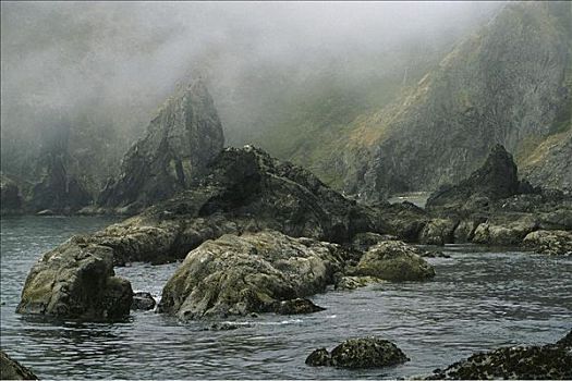 石头,海洋,雾,雾状,岩石海岸,太平洋,港口,俄勒冈,美国,悬崖,陡峭,北美