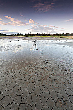 轨迹,泥,盐原,伍德布法罗国家公园,艾伯塔省,加拿大西北地区,边界,加拿大