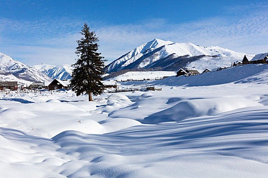 喀纳斯雪景,雪域风光