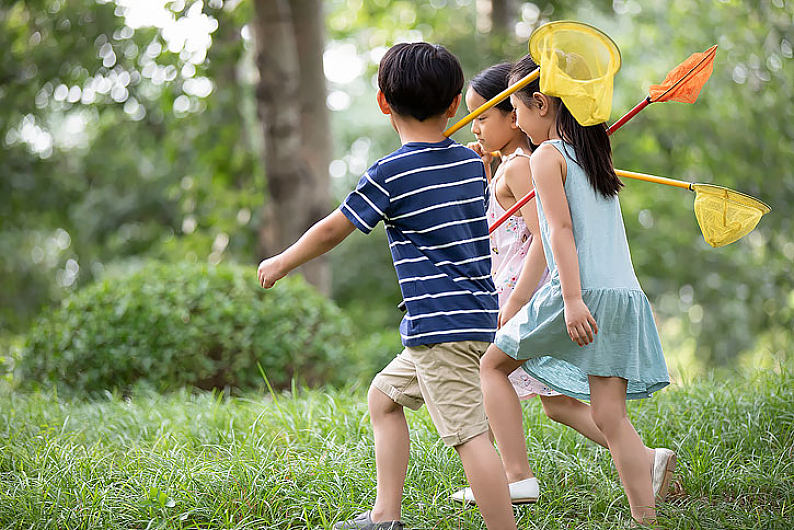 孩子们在草地上玩耍图片_孩子们在草地上玩耍图片素材_孩子们在草地上