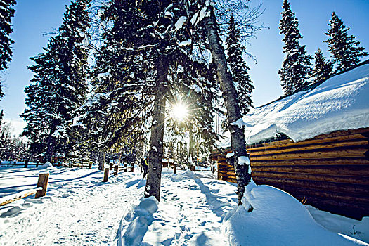 林海雪原小木屋