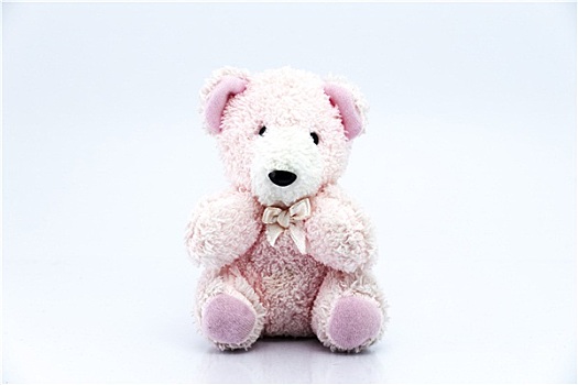 粉色,泰迪熊,隔绝,白色背景,背景