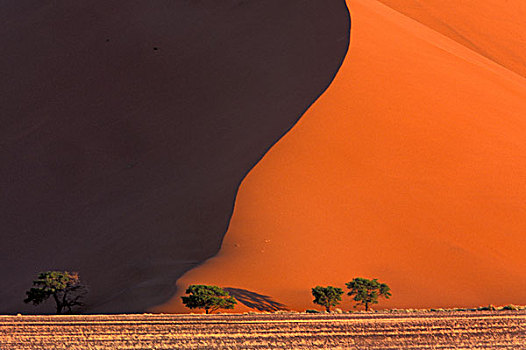 非洲,纳米比亚,纳米比诺克陆夫国家公园,索苏维来地区,沙丘