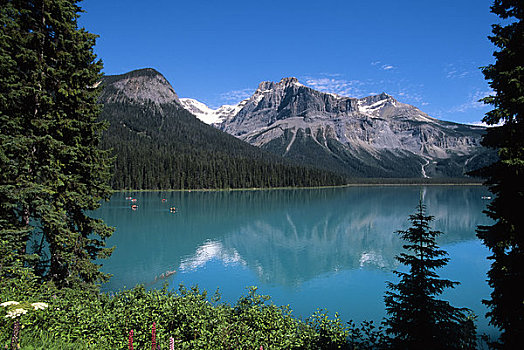 加拿大,不列颠哥伦比亚省,幽鹤国家公园,翡翠湖,冰河,背景