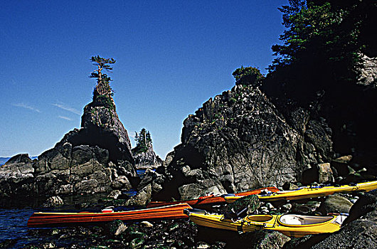 岛屿,独木舟,皮划艇,环太平洋国家公园,破损,温哥华岛,不列颠哥伦比亚省,加拿大