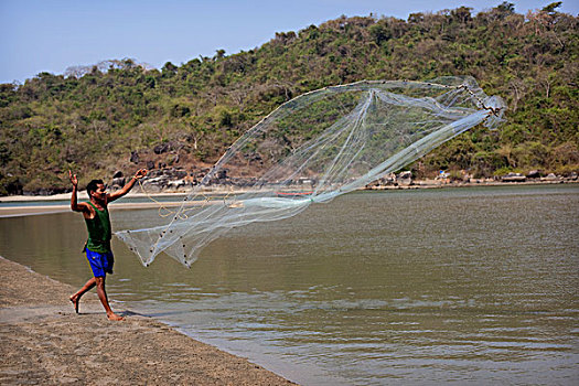 孤单,渔民,一个,网,浅,湾流,水,海滩,抓住,小,鱼,果阿,印度