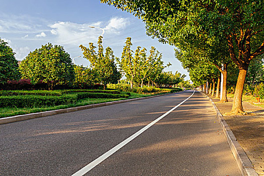 道路