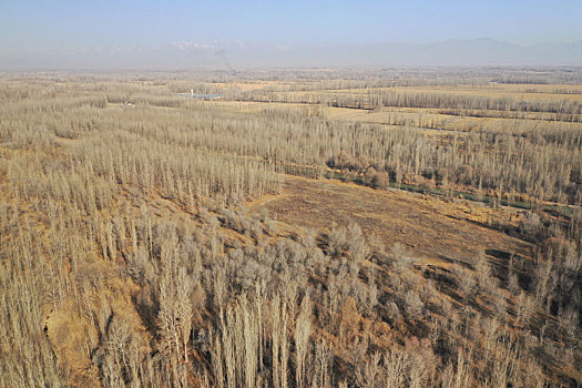 新疆博州,航拍初春时节的博尔塔拉河谷