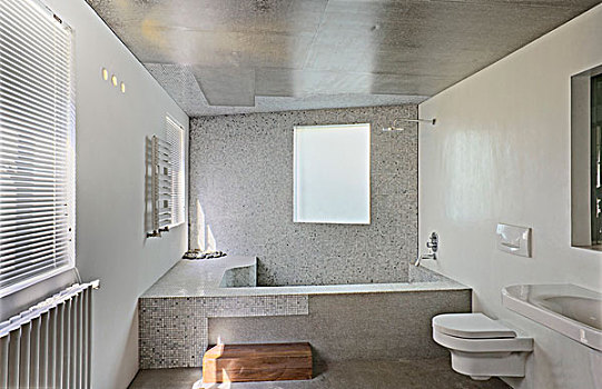 浴室,转换,20世纪30年代,道路,房子,上海,新加坡,建筑师,2007年