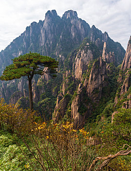 三清山奇峰怪石