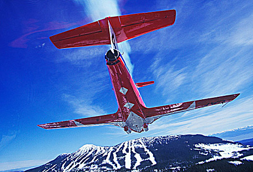 雪鸟,飞行,靠近,华盛顿山,不列颠哥伦比亚省,加拿大