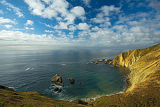 美国,加利福尼亚,雷斯岬,国家海岸,海狮,俯瞰