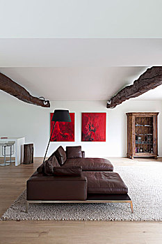 深棕色,皮沙发,乡村,天花板,光照,生活方式,区域