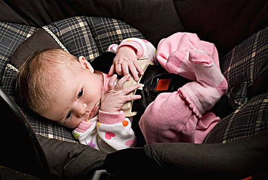 婴儿,车座,黍,艾伯塔省,加拿大