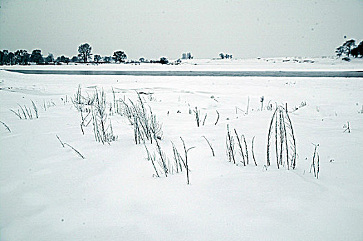 吉林雾凇岛雪景