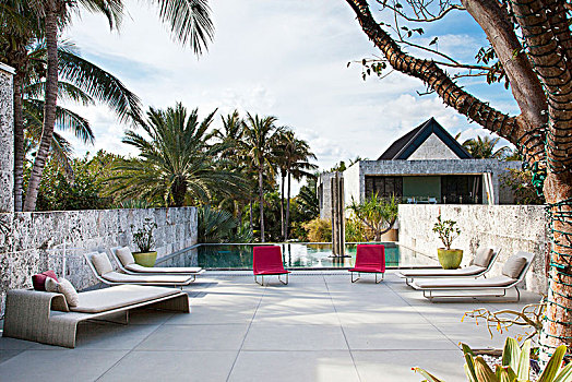 现代,躺椅,平台,游泳池,棕榈树,背景