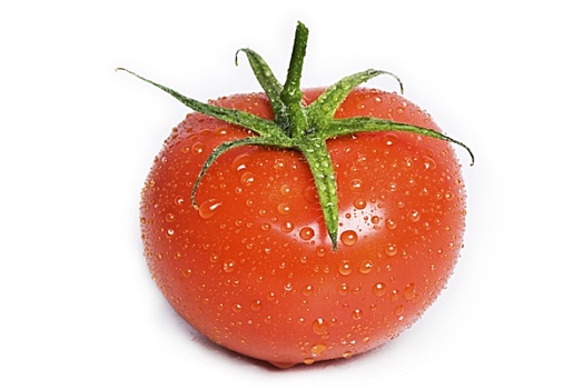 隔绝,湿,西红柿