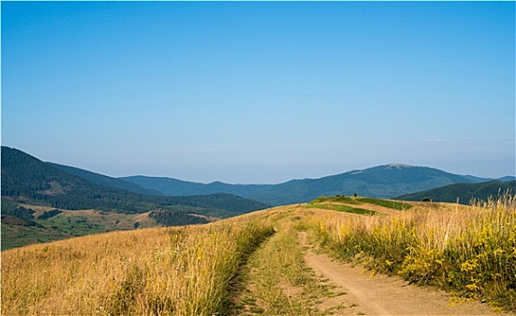 土路,风景,乌克兰,喀尔巴阡山脉地区