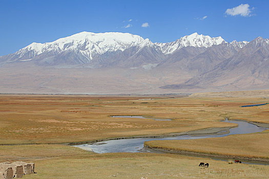 新疆喀什塔什库尔干塔合曼湿地