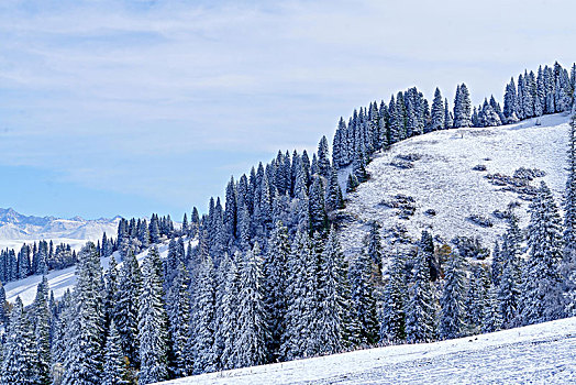 那拉提牧场雪景