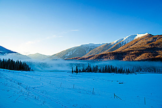 新疆,白哈巴村,村庄,雾,雪景