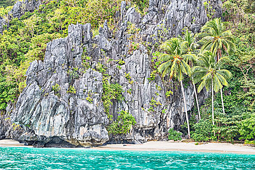 模糊,菲律宾,风景,船,棕榈树,悬崖,海滩,石头,太平洋