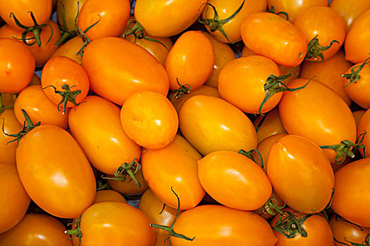 西红柿,德国,欧洲