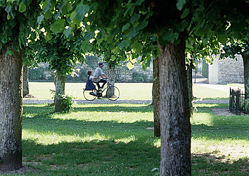 人,骑,公园,自行车
