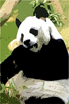 照片,熊猫,动物园,围挡,休息,吃,离开