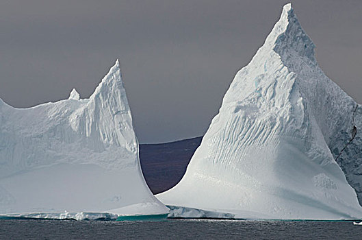 格陵兰,半岛,迪斯科湾,靠近,冰山,海岸
